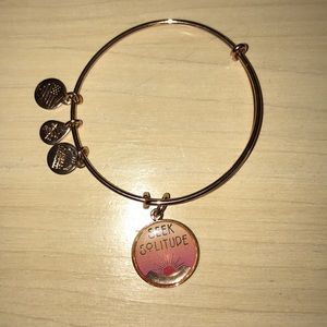 Alex and ani seek solitude bracelet